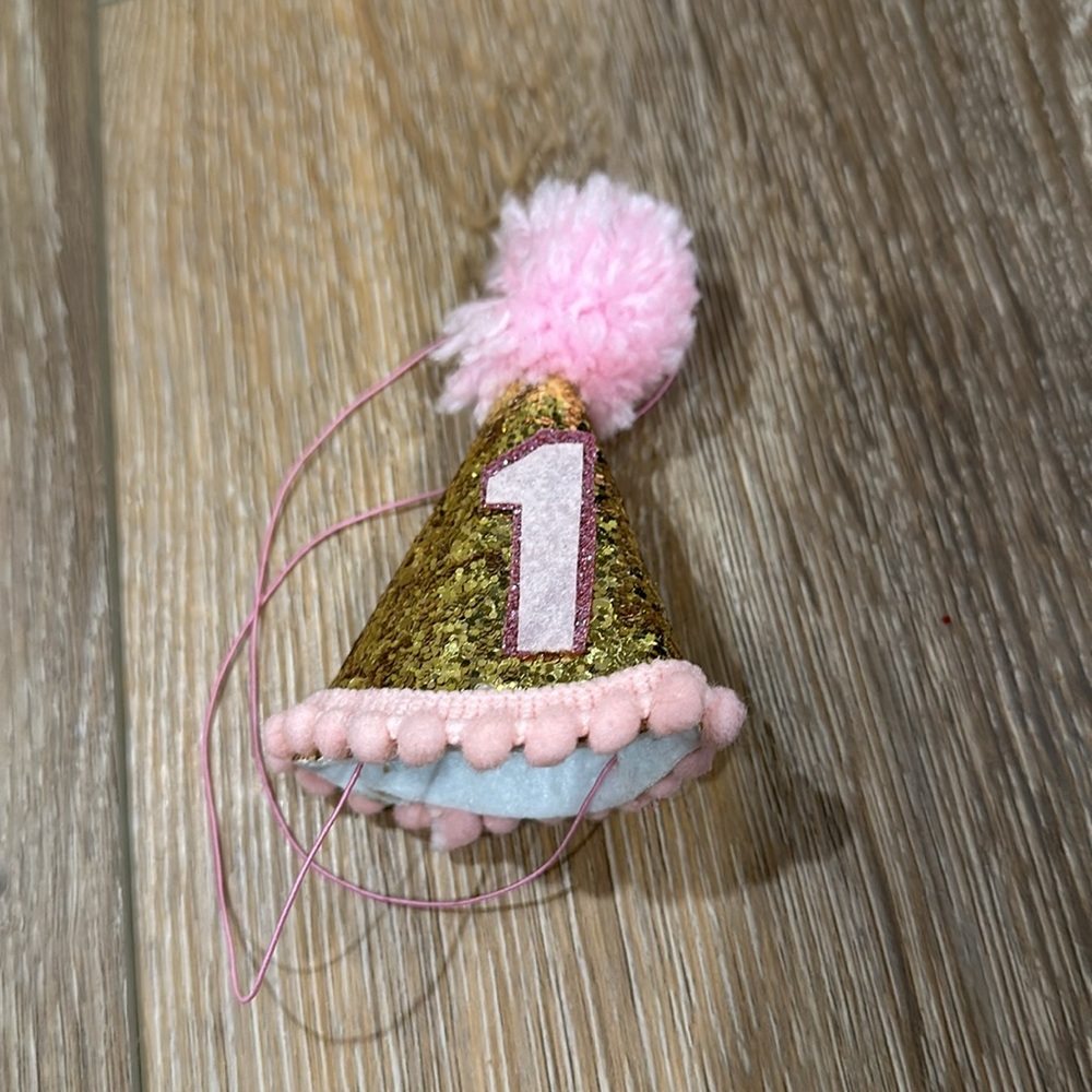 1st birthday hat- pet